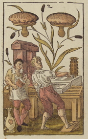 Jost Amman's 1588 printing press drawing
